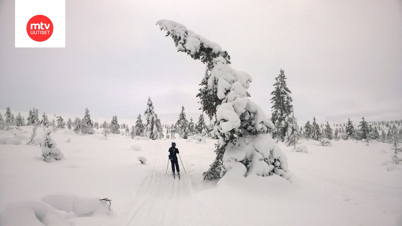 Kiinalaismatkailijoiden määrä jatkaa kasvuaan Suomi avaa uusia