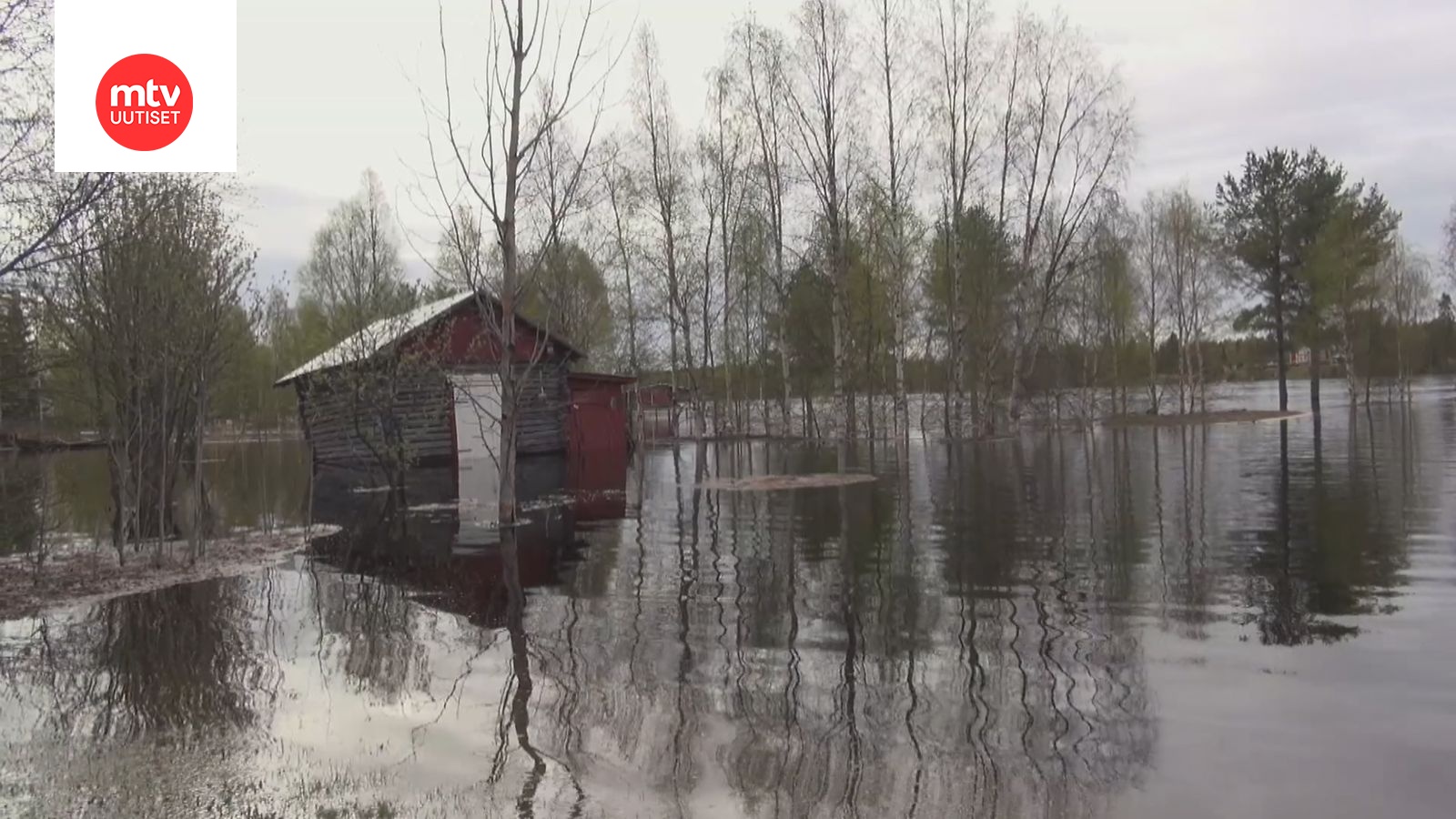 Ilmastonmuutokseen Varautuminen Voi Aiheuttaa Katukuvan Muutoksia Ja