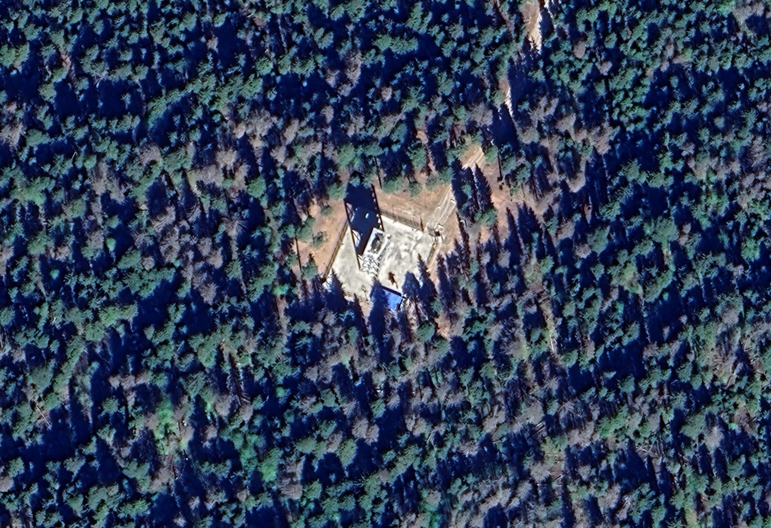 Kuvakaappaus Google Earthissa väitetysti näkyvästä Pantsir-S1-ilmatorjuntajärjestelmästä, joka sijaitsee presidentti Putinin asunnon lähellä.