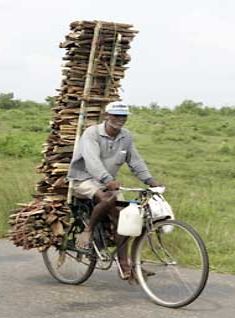 Paikallinen mies kuljettaa polttopuita pyörällään.