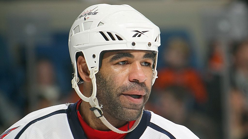 Donald Brashear хоккеист