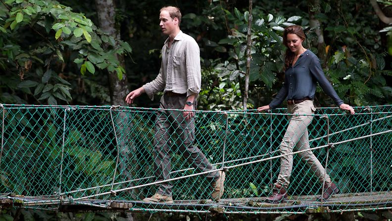Catherine Middleton vierailivat Borneon sademetsässä. 