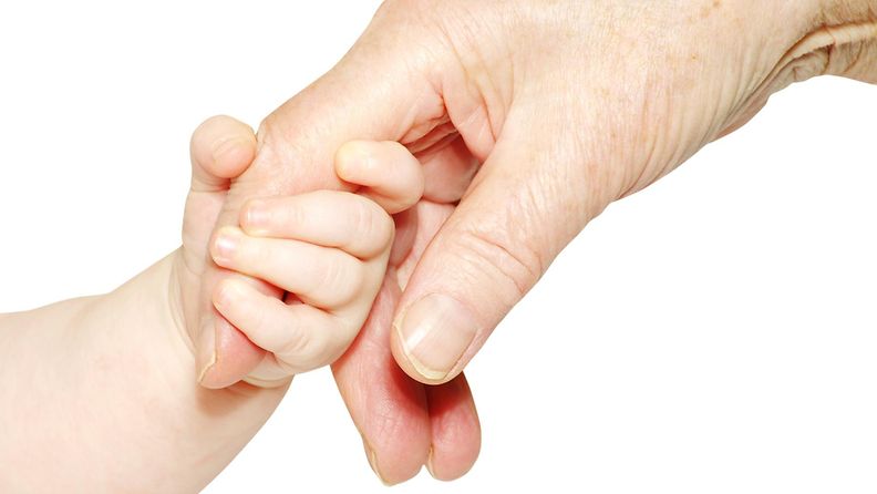 3. Vauvan ja aikuisen käsi