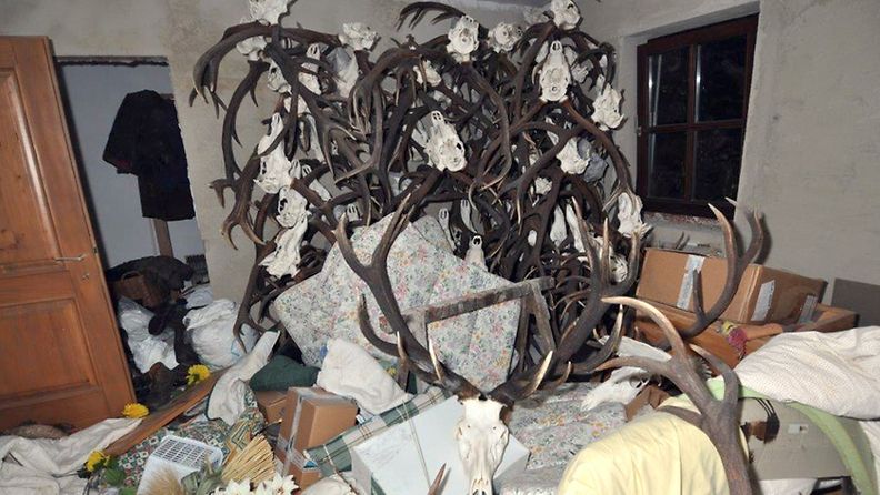 Kuolleena löytyneen salametsästäjän kotoa löytyi myös huima kokoelma metsästysmuistoja.