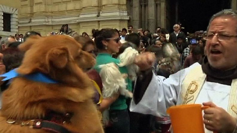 Pappi Enrique Segovia siunasi koiran Perun Limassa 4.10.2013.