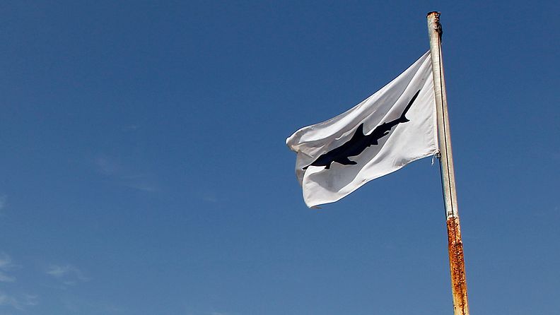 Haista varoittava lippu Fish Hoek -rannalla Kapkaupungissa Etelä-Afrikassa.