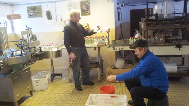 Ilpo Litmanen tarkastaa pontikkapullojen etiketit ja Tuomo Hassinen kaataa liemen saaviin virheellisistä pulloista Kiteen kirkkaan pullotuksessa Kiteella kesällä 2013.