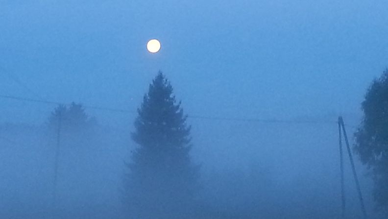 Aamusumu ja kuu Paattisissa 21. elokuuta 2013 kello 5.46. Lukijan kuva: Oiva Laiho