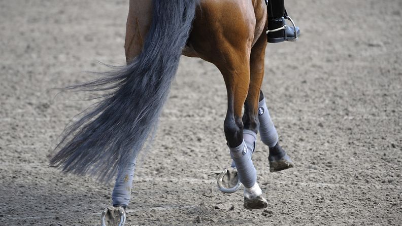 Vakavat ratsastusonnettomuudet ovat erittäin harvinaisia, vaikka hevosen selästä putoamisia sattuu yleisesti.