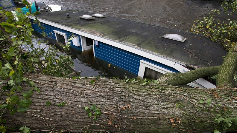Amsterdamissa myrsky kaatoi puita asuntolaivojen päälle.