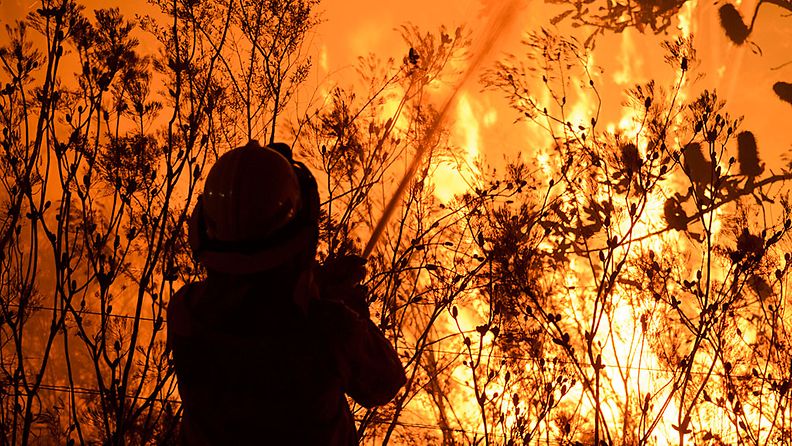 Palomies yrittää sammuttaa maastopaloa New South Walesissa.