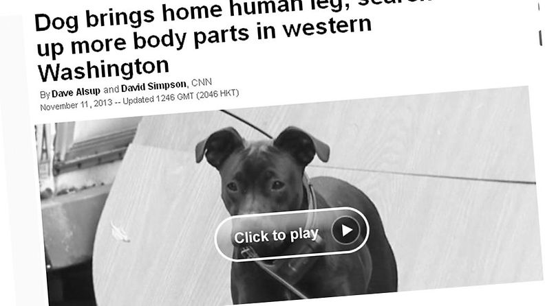 Liberty-koira toi kotiinsa karmivan löydön. Kuvakaappaus CNN:n sivuilta.