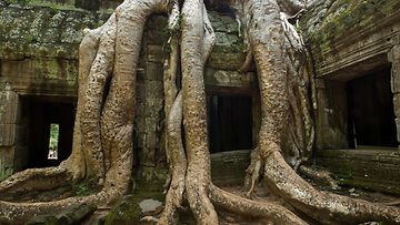 AngkorWat_getty.jpg