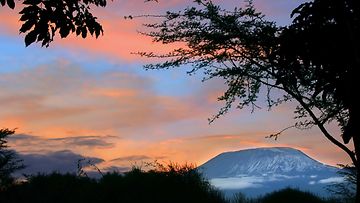 kilimanjaro_Colourbox.jpg