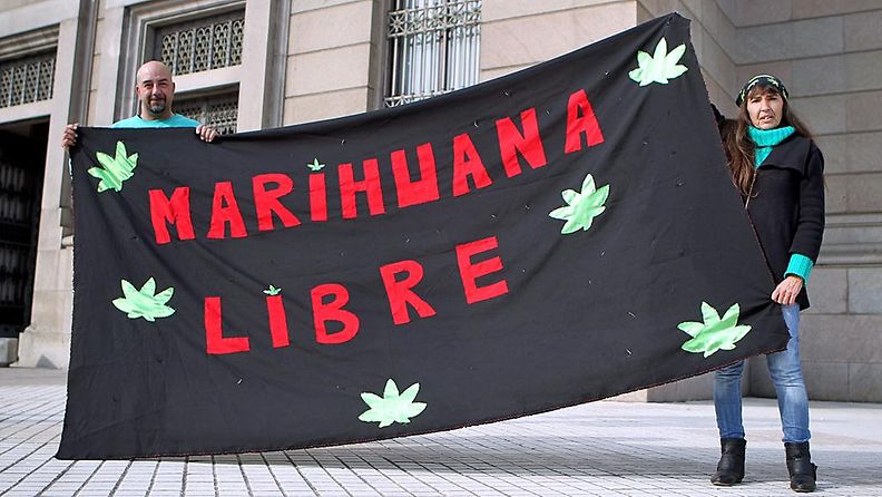 Kannabiksen laillistamisen kannattajat liputtivat asinasa puolesta Uruguayn Montevideossa heinäkuussa 2013.