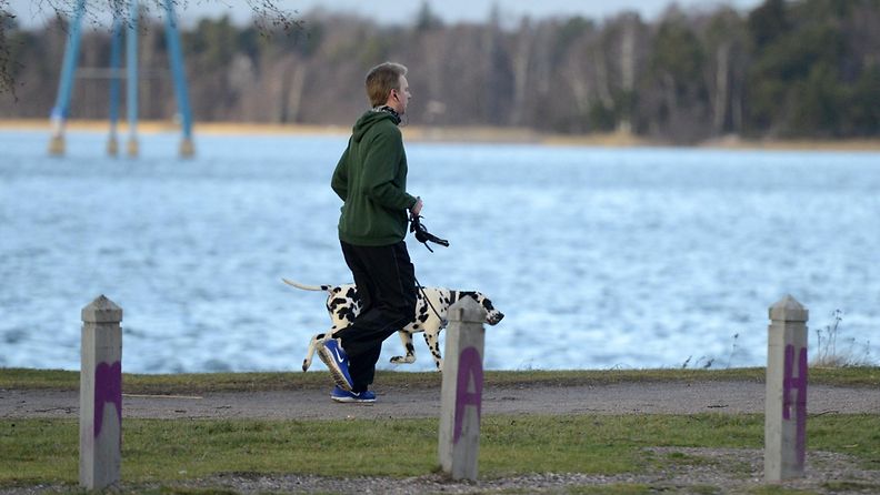 Mies ulkoilutti koiraa lauhassa säässä Hietaniemessä Helsingissä 30. joulukuuta 2013.