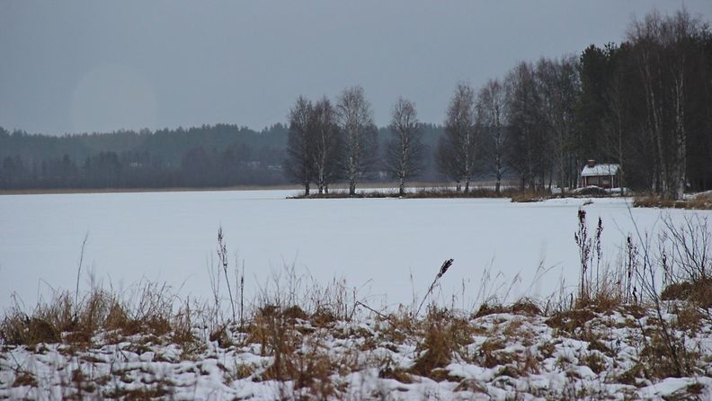 Lumista maisemaa 3. tammikuuta 2014. Lukijan kuva: Sinikka Kujala