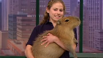 Millie-kapybara