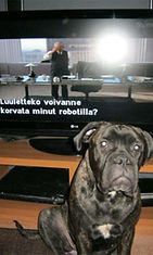 Hani-koira: "Lempein jätti päällä maan.:)" Kuva: Jarmo Leppänen