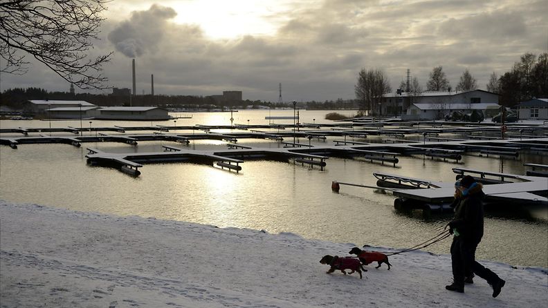 Ohut lumikerros peitti Rajasaaren edustan rannan Helsingissä 12. tammikuuta 2014.