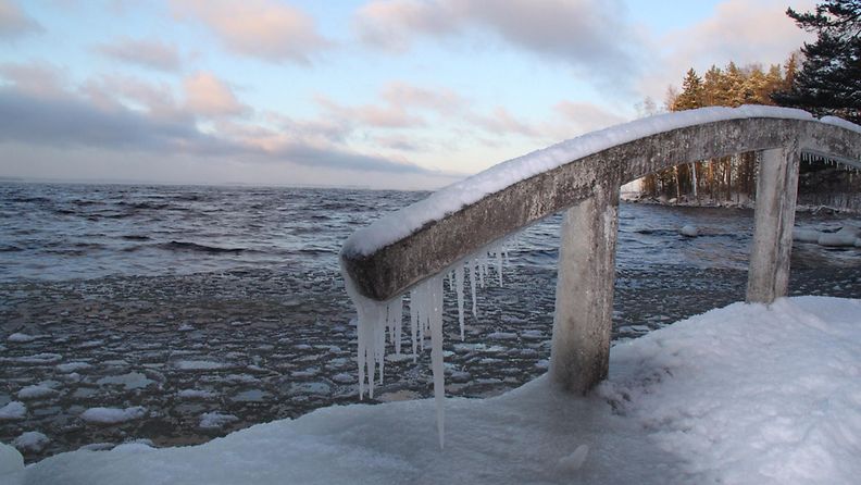 Kylmä koillistuuli Lapinniemenrannassa Tampereella 13. tammikuuta 2014. Lukijan kuva: Mirja Raisio