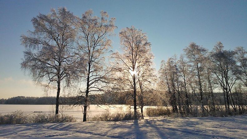 Aurinkoinen pakkaspäivä tammikuussa 2014 Tampereella Tohlopissa. Lukijan kuva: Kirsi Ojanen