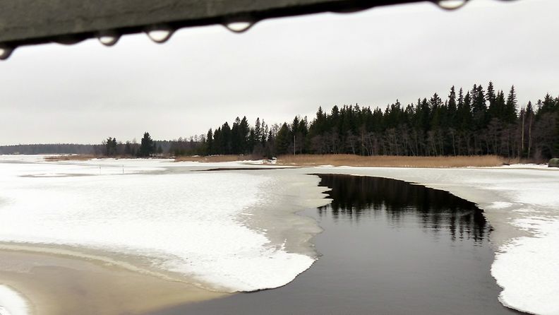 Lukijan kuva. Virtapaikassa sulaa sateisessa Vaasassa 16.2.2014. 