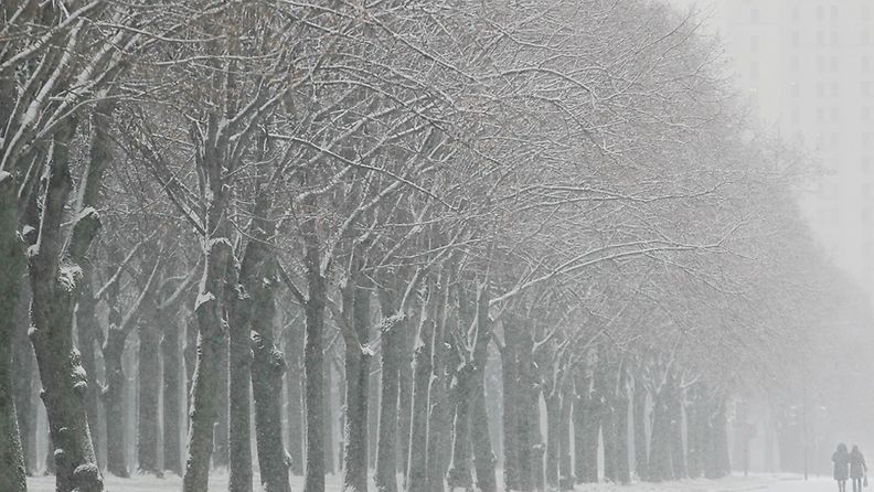 Two people walk along a tree-lined snow-covered avenue in front of Moscow's University building in Moscow, Russia, 28 November 2012.