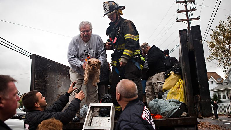 Mies ojentaa koiraa pelastajillle New Yorkissa.