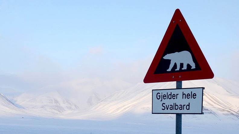 Tiellä liikkuvista jääkarhuista varoittava kyltti Huippuvuorilla.