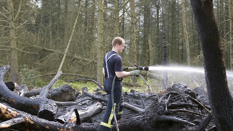 Palomies sammuttaa metsäpaloa lounais-Britanniassa.