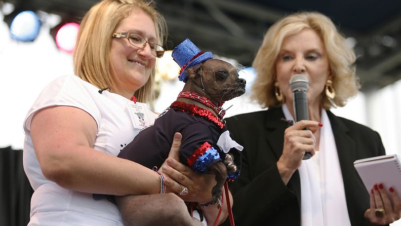 Brittiläinen Mugly on valittu maailman rumimmaksi koiraksi vuonna 2012.