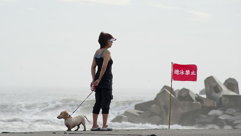 Japanilaisnainen ja hänen koiransa katselevat taifuunin aiheuttamia aaltoja Ichonomiyan kaupungissa Chiban alueella heinäkuussa 2011.