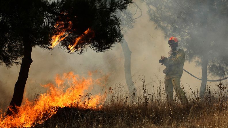 Palomies sammutti metsäpaloa Thessalonikin lähellä Pohjois-Kreikassa 26. elokuuta 2011.