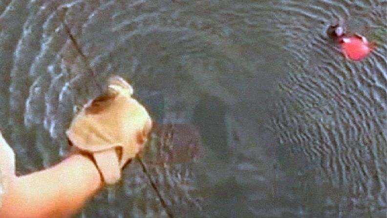 Perun merivoimien julkaisemassa videossa näkyy, kuinka yksi matkustajista pelastetaan merestä.  