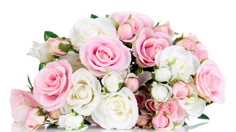 Vaaleanpunaiset ruusut voivat kertoa salatuista tunteista tai ihastumisesta.