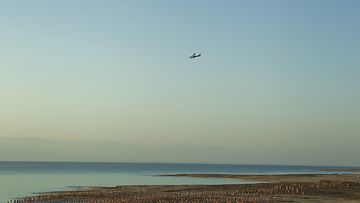Yli tuhat alastonta israelilaisuimaria kellui Kuolleenmeren rantavesissä Spencer Tunickin kuvauksissa 17.9.2011. 