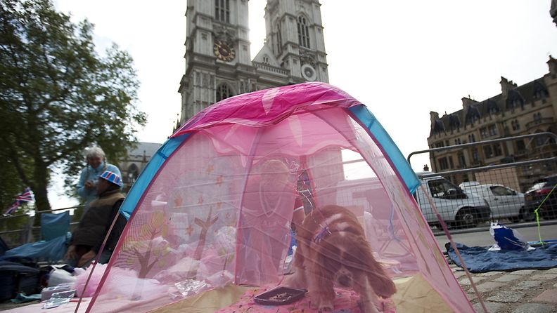 Camilla-niminen spanieli on saanut oman teltan, jossa jaksaa odotella hääpäivää. Kuva: EPA
