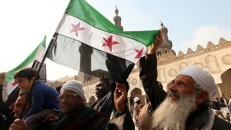 Egyptissä järjestettiin tukimielenosoitus Syyrian vallankumousliikkeelle 28. joulukuuta. 