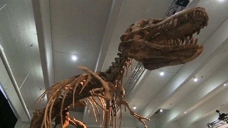 Dinosauruksen luuranko myytiin New Yorkissa yli miljoonalla dollarilla.