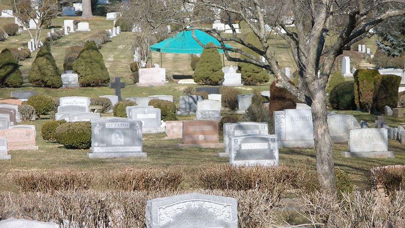 Whitney Houston haudataan sunnuntaina Fairview’n hautausmaalle turkoosin katoksen alle.