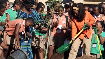 Oprah istuttaa puita Africassa vuonna 2008.