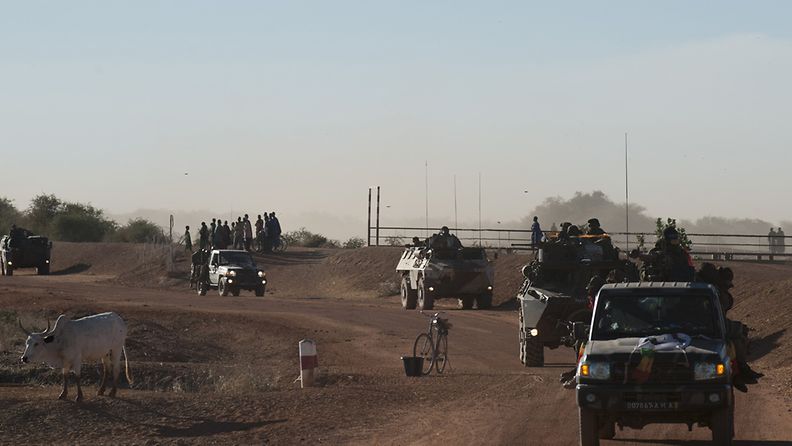 Malin hallituksen joukkoja Diabalissa 21.1.2013.