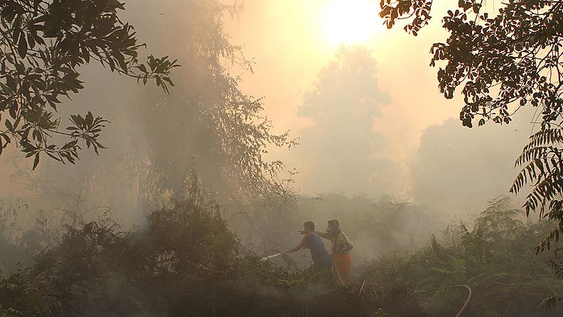 Indonesialaiset palomiehet ruiskuttavat vettä palaviin pensaisiin Pekanbarun liepeillä sijaitsevassa metsässä Riaun maakunnassa Indonesiassa 20.6.2013.