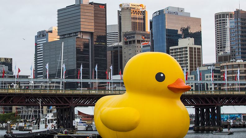 Sydney Festival's the giant Rubber Duck installation, Darling Harbour, Australia, 03 January 2013. This is the latest incarnation of artist Florentijn Hofman?s famous oversized toy which measures 15m high and 18m wide and has been commissioned especially for this year's Sydney Festival. EPA