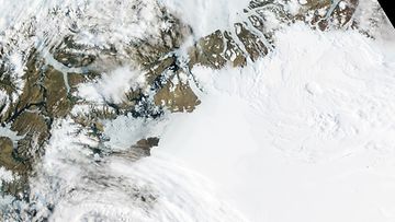 Nasan ilmakuvaa Petermannin jäätiköstä.