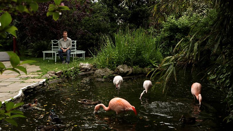 Bill, Ben, Splosh ja Pecks eli Kattopuutarhan flamingot. 