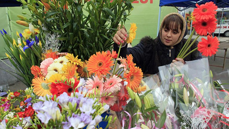 A flower vendor prepares bouquets for customers at an outdoor market on International Women's Day in Bucharest March 8, 2012. Men acknowledge the women they love on International Women's Day by presenting them with small souvenirs and flowers. LEHTIKUVA / REUTERS/Radu Sigheti (ROMANIA - Tags: ANNIVERSARY SOCIETY)  