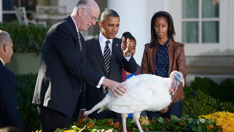 Obama armahti kalkkunan kiitospäivän aattona. 