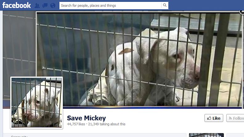 Kuvakaappaus Mickeyn puolesta kampanjoivalta Facebook-sivulta.